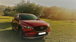 InkedIMG_20180520_202018358_HDR_LI.jpg