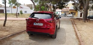 20180609_130241.jpg
