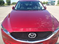 IMG_20180629_182252.jpg