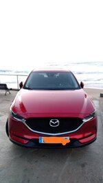 IMG_20181102_165450.jpg