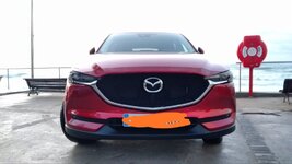 IMG_20181102_165419.jpg