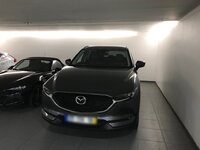 IMG_7148.jpg