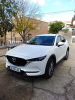 IMG_20191116_130149.jpg