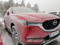 IMG_20191124_110644.jpg