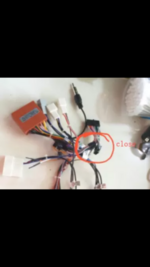 C43B3135-FE0F-409C-862E-BE2C79CE9025.png
