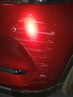 IMG_20200518_162016.jpg