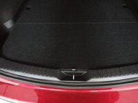 IMG_20200820_183159.jpg