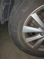 IMG_20220913_210449.jpg