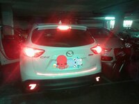 IMG_20140212_050320.jpg