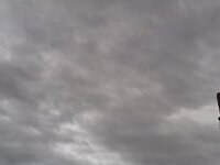 ImageUploadedByTapatalk1396081958.735350.jpg