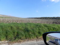 V_Champagne_06_1.JPG