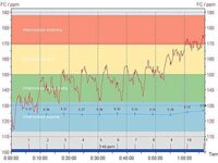 grafica_pulsometro_deporteysaludfisica1.jpg