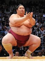 sumo.jpg