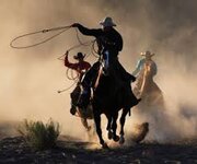 cowboy.jpg
