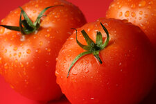 impulsan-la-marca-tomate-de-los-palacios-como-distintivo-de-calidad.jpeg