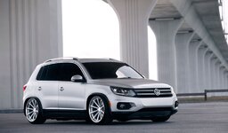 3_vossen-vvscv1.jpg