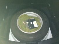 IMG_3519.JPG