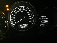 IMG_2653 small.jpg