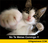 Gato_Boxeador.gif