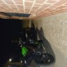 julencbr600