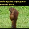 Alexxx